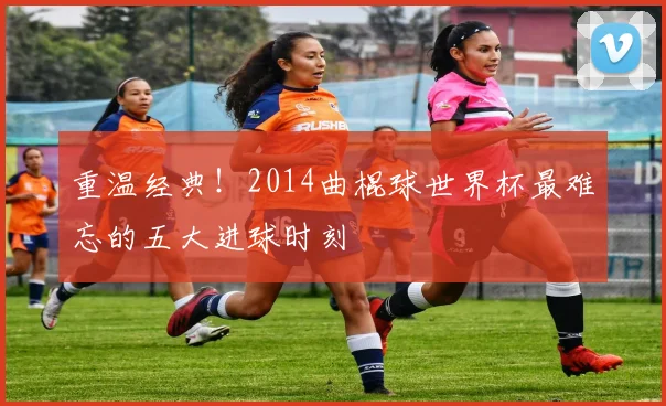 重温经典！2014曲棍球世界杯最难忘的五大进球时刻